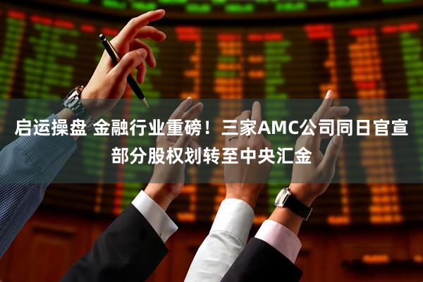 启运操盘 金融行业重磅！三家AMC公司同日官宣部分股权划转至中央汇金