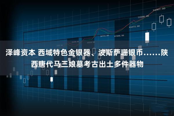 泽峰资本 西域特色金银器、波斯萨珊银币……陕西唐代马三娘墓考古出土多件器物