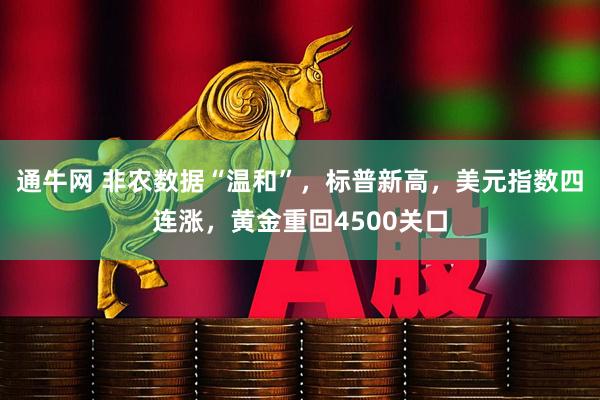 通牛网 非农数据“温和”，标普新高，美元指数四连涨，黄金重回4500关口