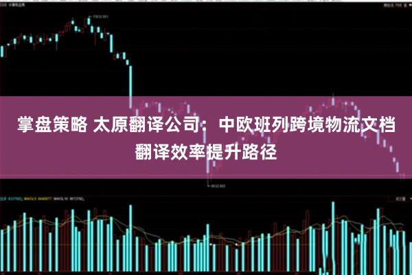掌盘策略 太原翻译公司:中欧班列跨境物流文档翻译效率提升路径