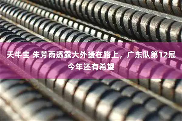 天牛宝 朱芳雨透露大外援在路上，广东队第12冠今年还有希望