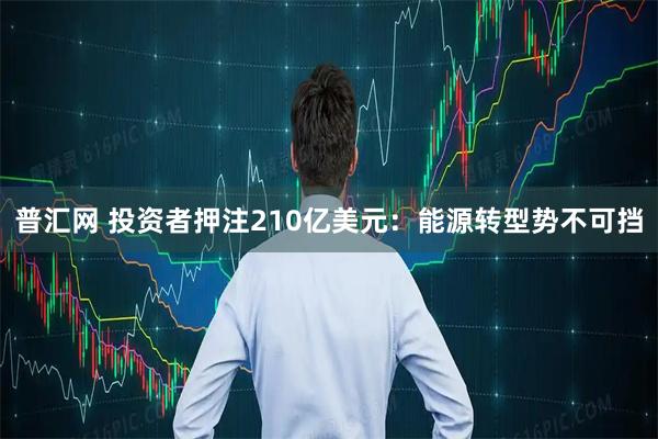 普汇网 投资者押注210亿美元：能源转型势不可挡